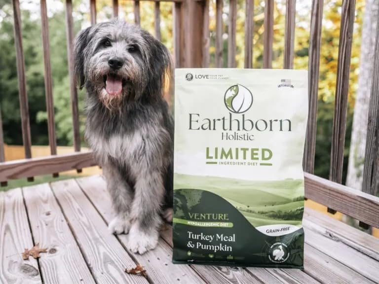 Earthborn Holistic Venture porción recomendada para perro lista para servir.