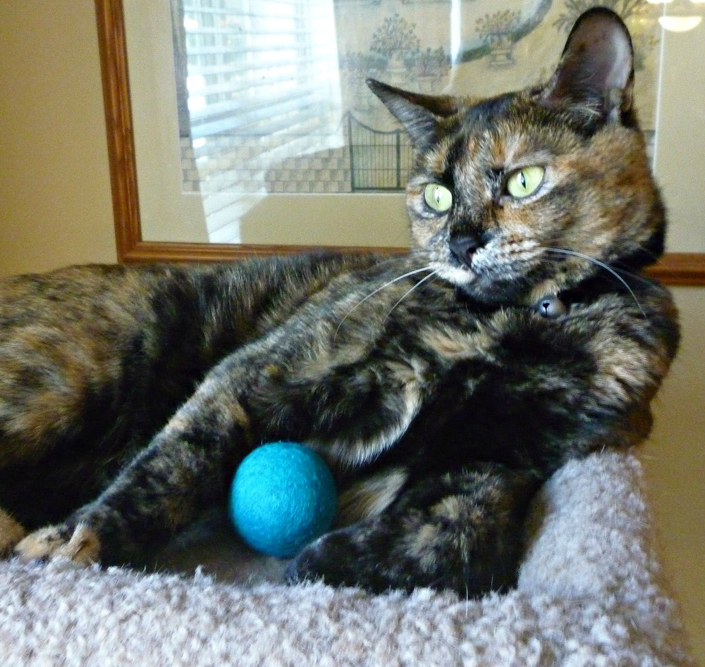 Bolas feltradas Earthtone para gatos, ideales para juego interior.