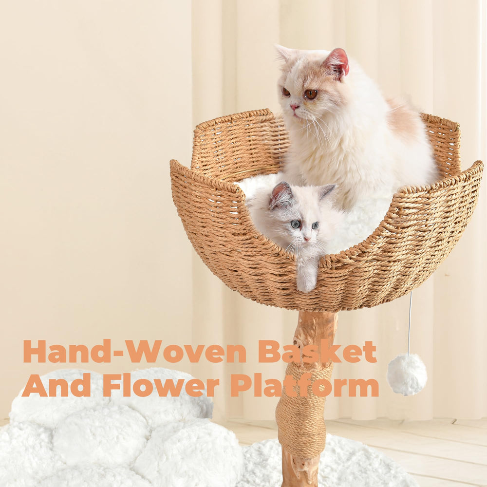 Easyego plataforma flor, punto focal suave para explorar y observar.