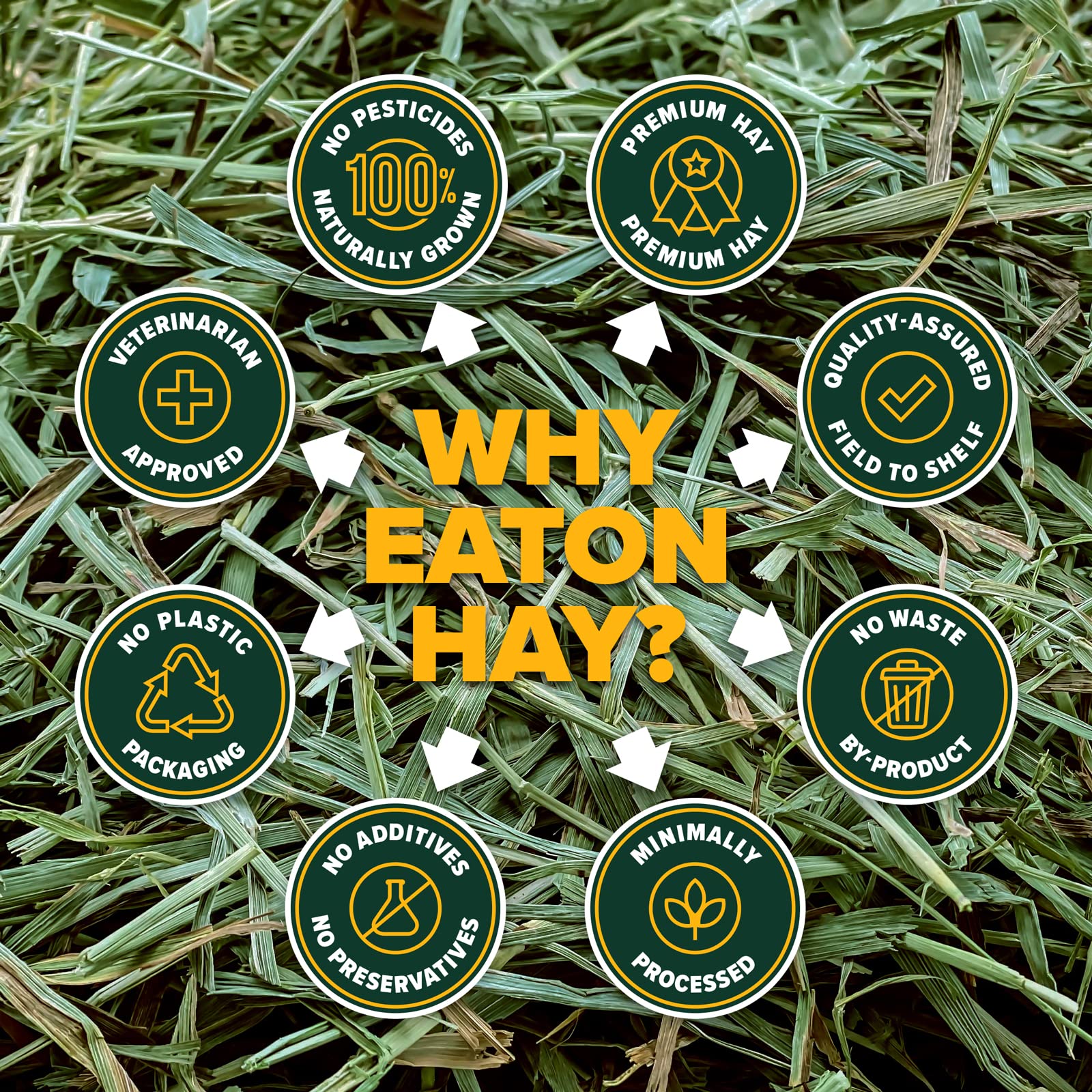 Eaton Pet and Pasture: empaque sin plástico, opción sostenible para el hogar.