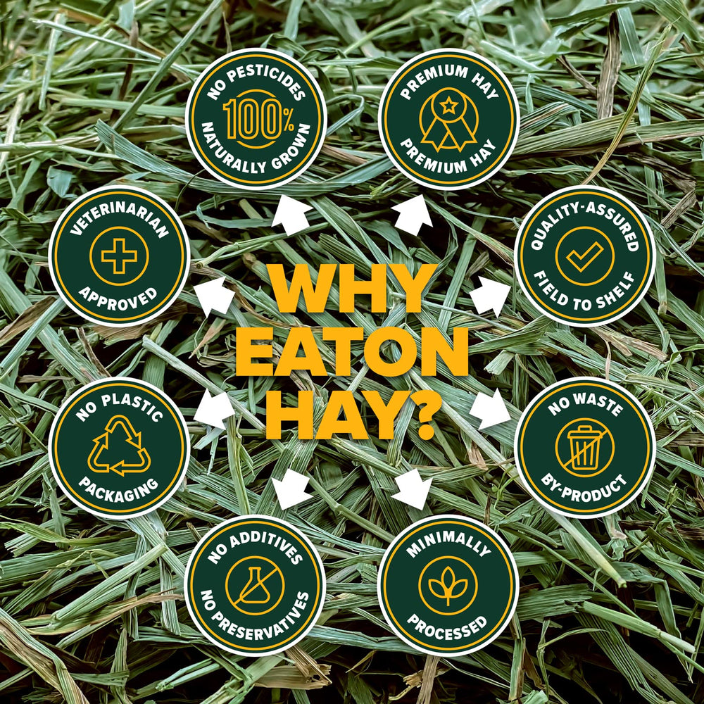 Eaton Pet and Pasture: empaque sin plástico, opción sostenible para el hogar.