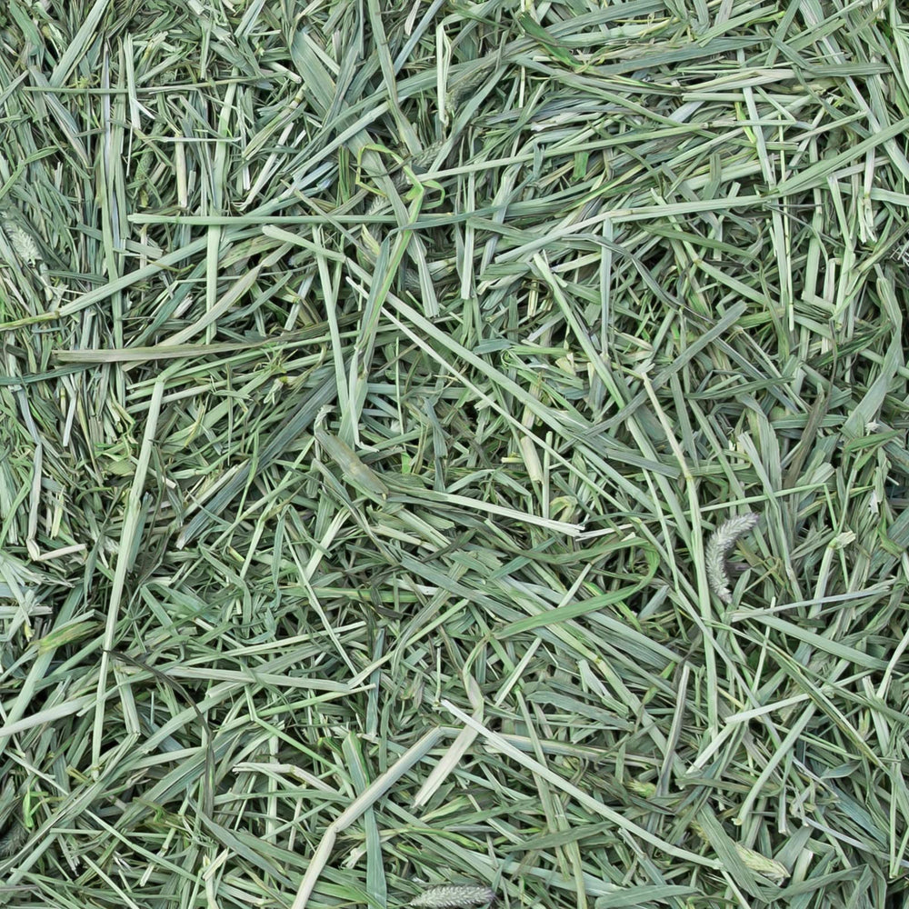 Eaton Pet and Pasture: uso diario para roedores y conejos.