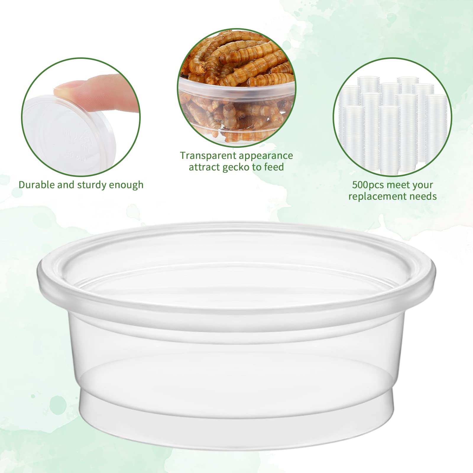 Taza plástica transparente EBOOT para terrarios de reptiles.