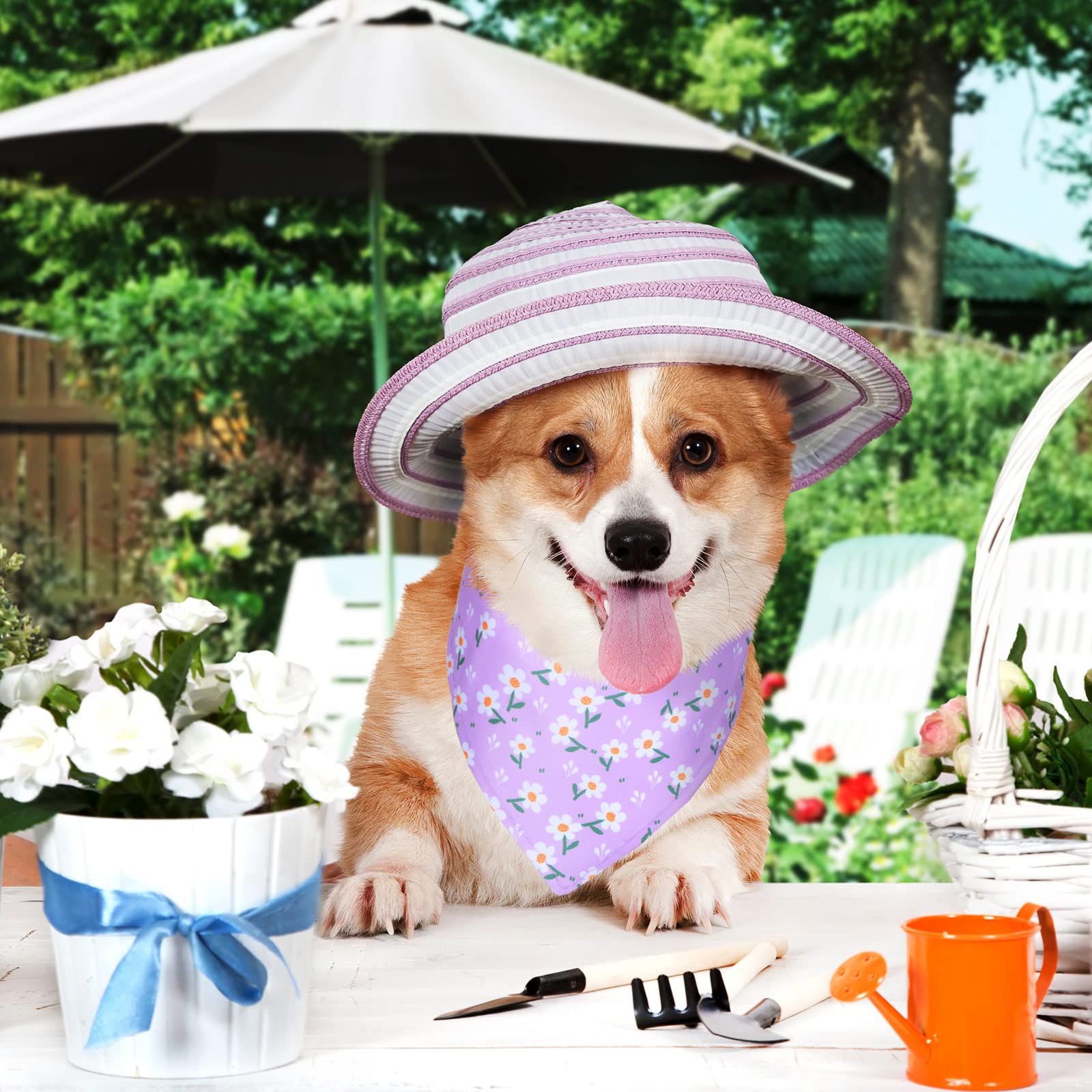 Material suave de Eccliy, bandanas para perro cómodo y transpirable.