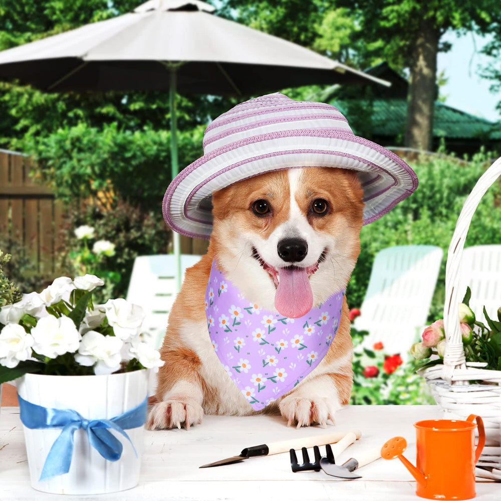 Material suave de Eccliy, bandanas para perro cómodo y transpirable.