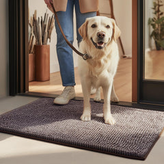 Felpudo EHEYCIGA para perros absorbe patas mojadas en la entrada.