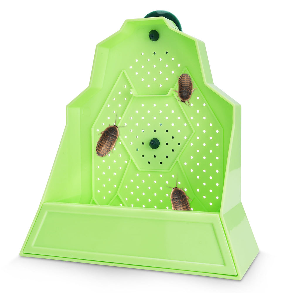 Eckpo tazón montado en pared evita fugas para terrario.