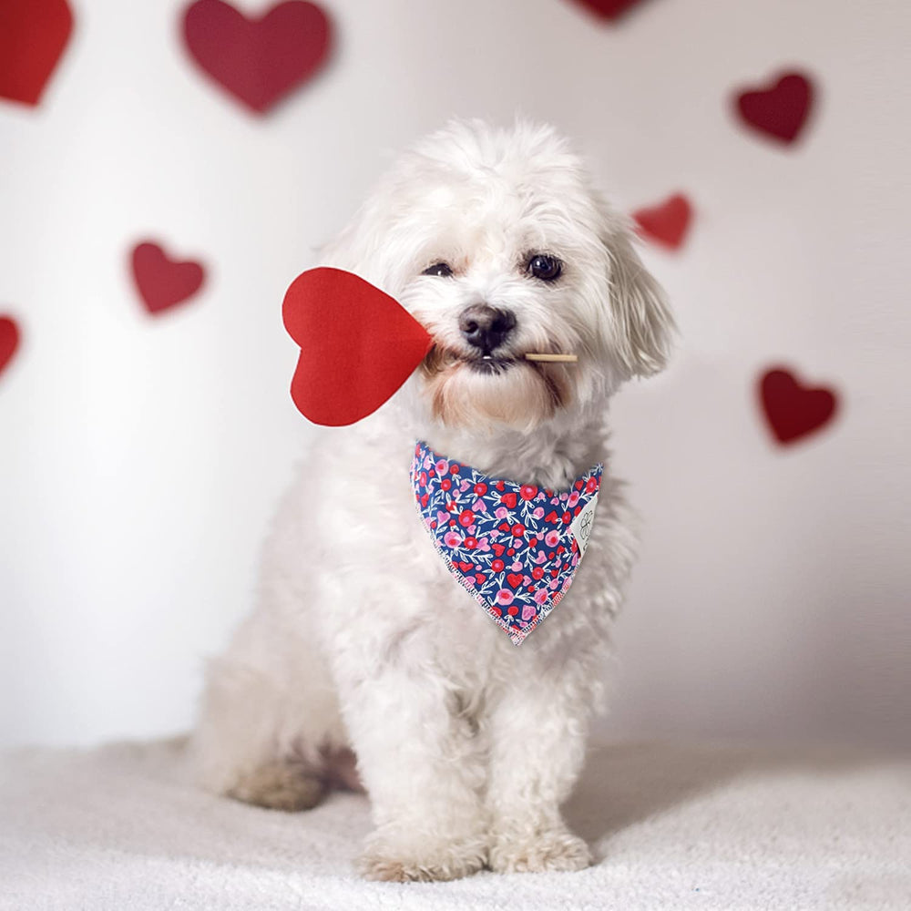 E-Clover Bandana para perros pequeños, compatible con varias razas.