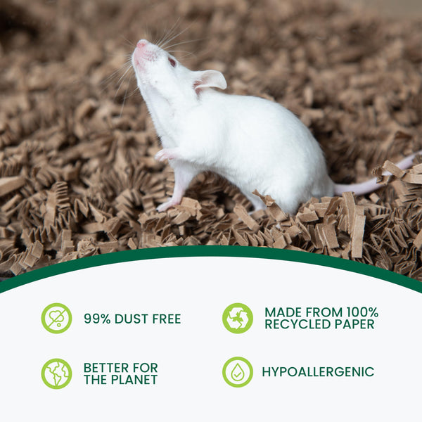 ECO BEDDING FiberCore está hecho con materiales ecológicos para el hábitat de mascotas.