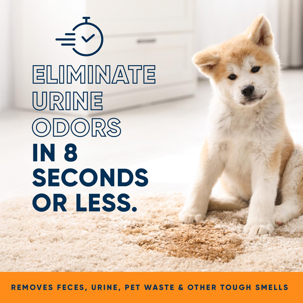 Eliminador de Olor Naranja Eco Strong para alfombras, elimina olores y manchas.