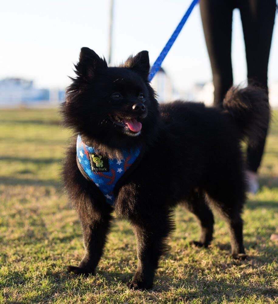 EcoBark arnés para cachorros y perros pequeños ajuste cómodo