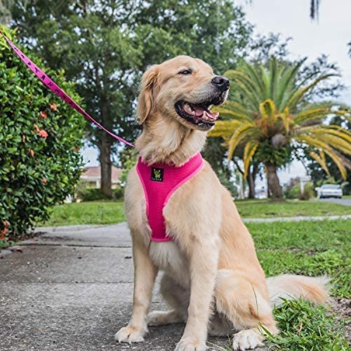 EcoBark Arnés perro cierre seguro para uso diario.