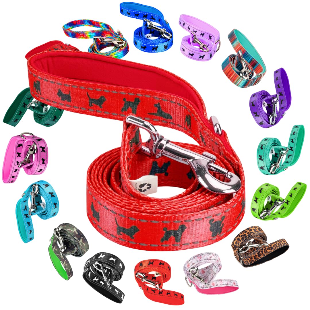 EcoBark Correa para perros, asa acolchada y cómoda para paseos.