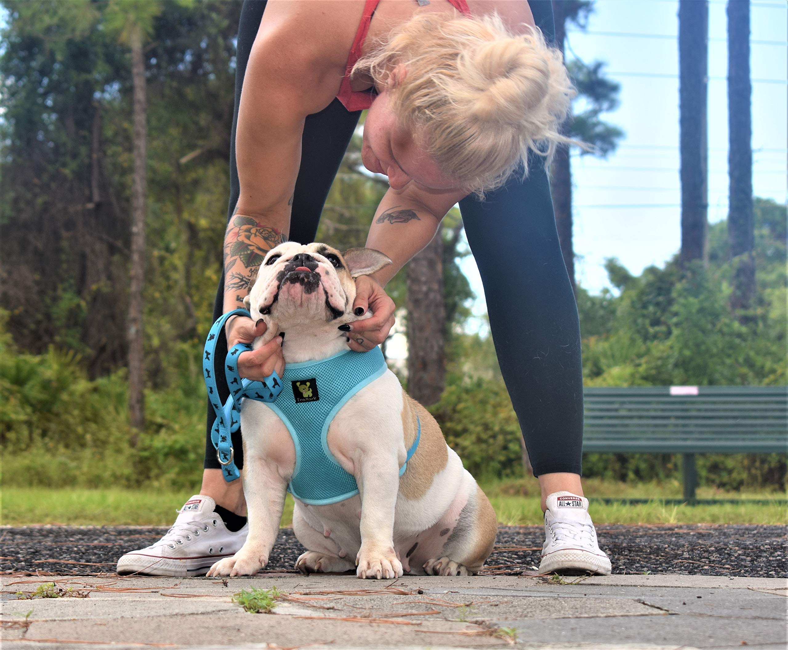 EcoBark correa para perro azul cielo opción eco-amigable.