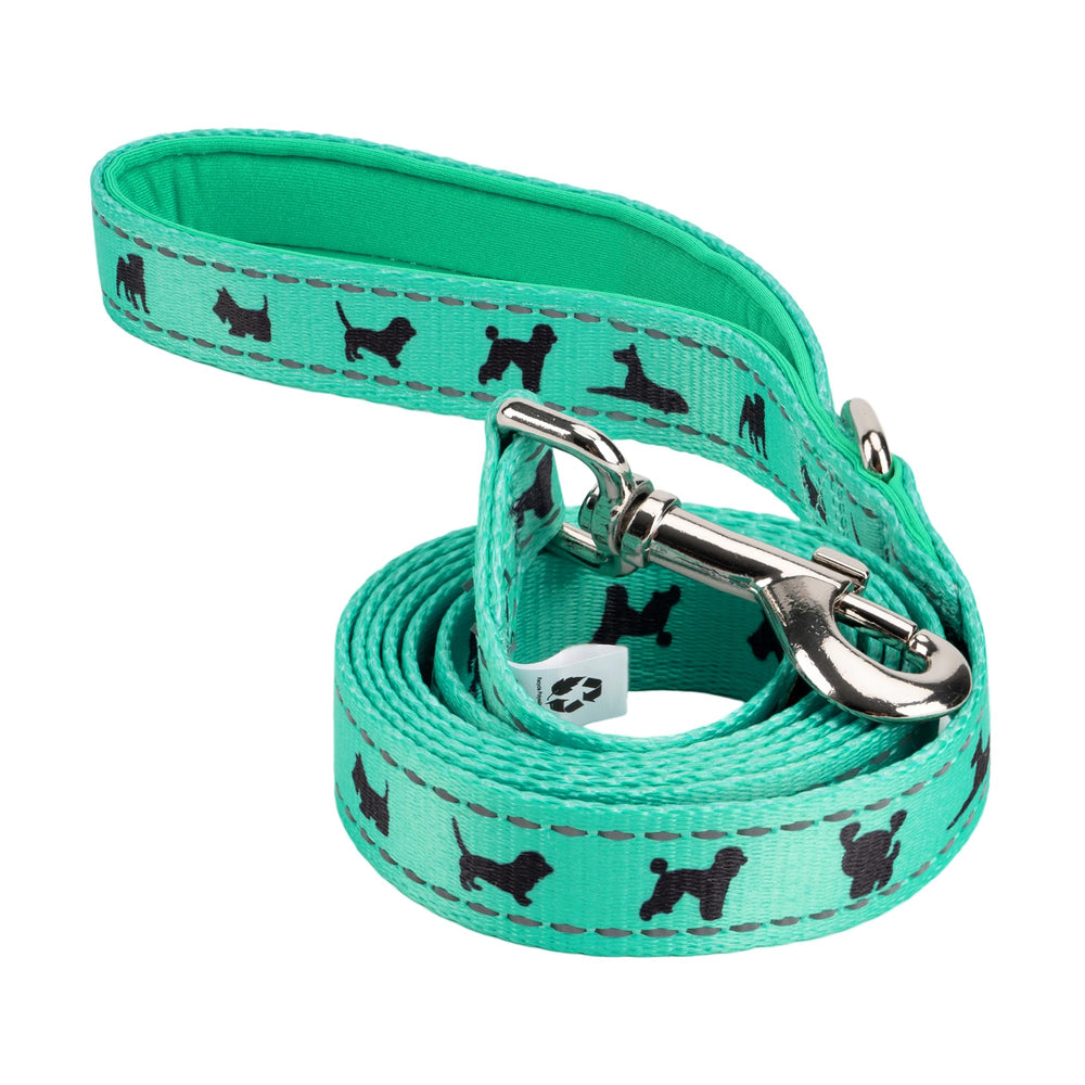 EcoBark correa para perro diseño dinámico para entrenamiento y juego.