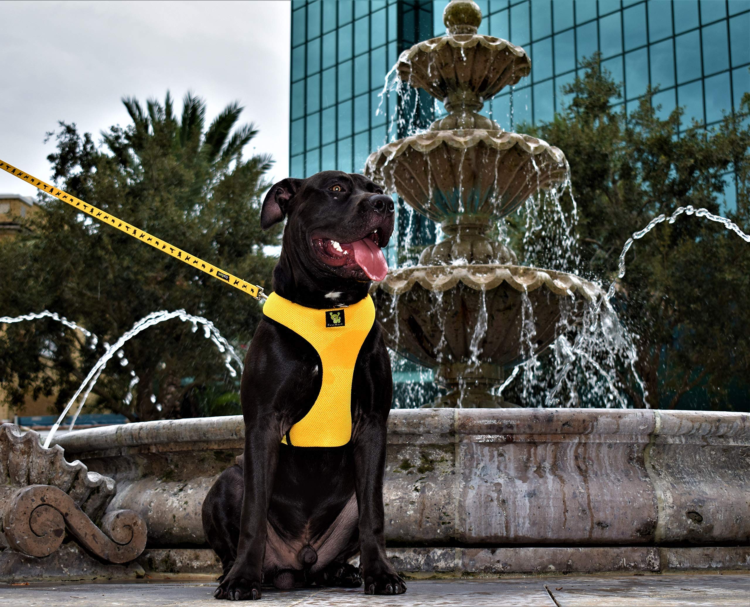 EcoBark correa-perro diseños estéticos combina estilo y función para tu mascota.