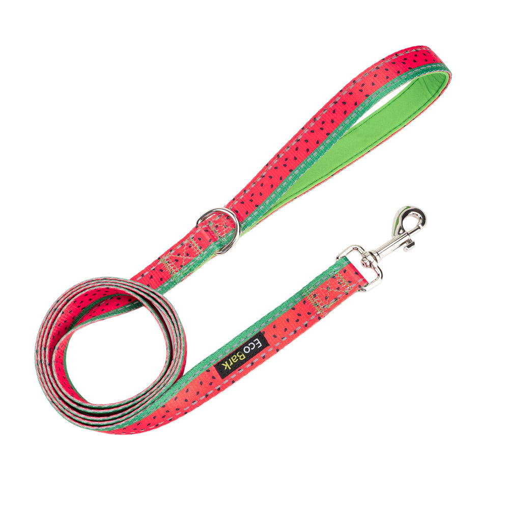 EcoBark correa para perro de alta durabilidad, perfecta para entrenamientos y caminatas diarias.