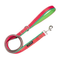 EcoBark correa para perro de alta durabilidad, perfecta para entrenamientos y caminatas diarias.