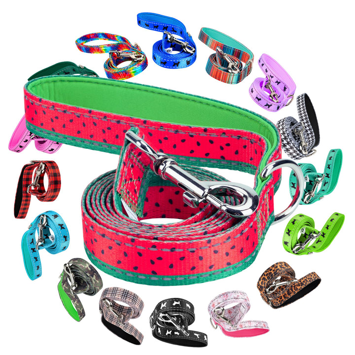 EcoBark correa para perro con manija acolchada, ideal para paseos cómodos.