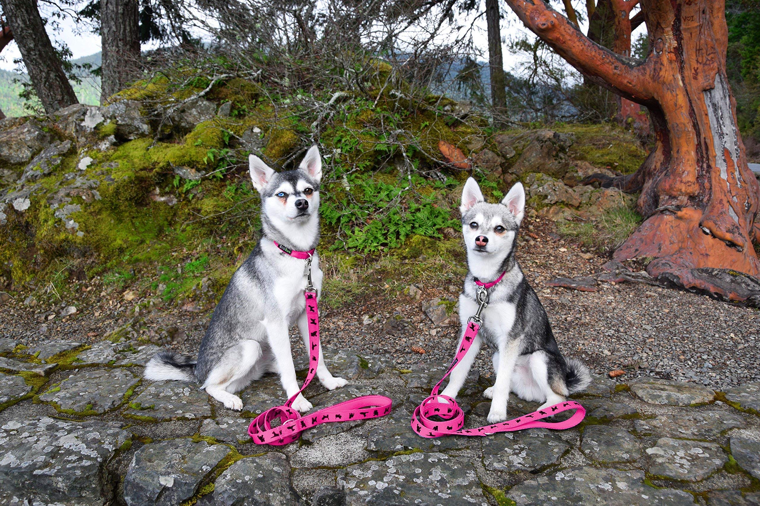 EcoBark rosa ideal para entrenar perros con control cómodo.