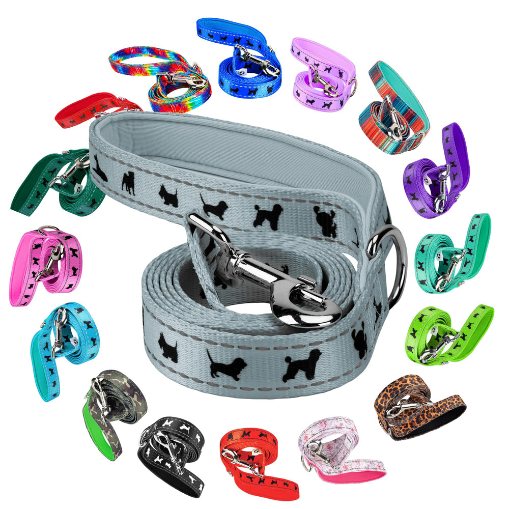EcoBark correa para perro suave y reflectante para paseos nocturnos seguros.
