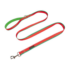 EcoBark correa para perro de uso diario, ligera y suave al tacto.