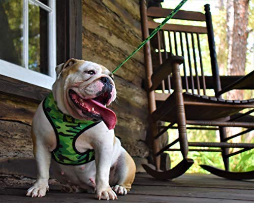 EcoBark correa para perros de varios tamaños en camuflaje