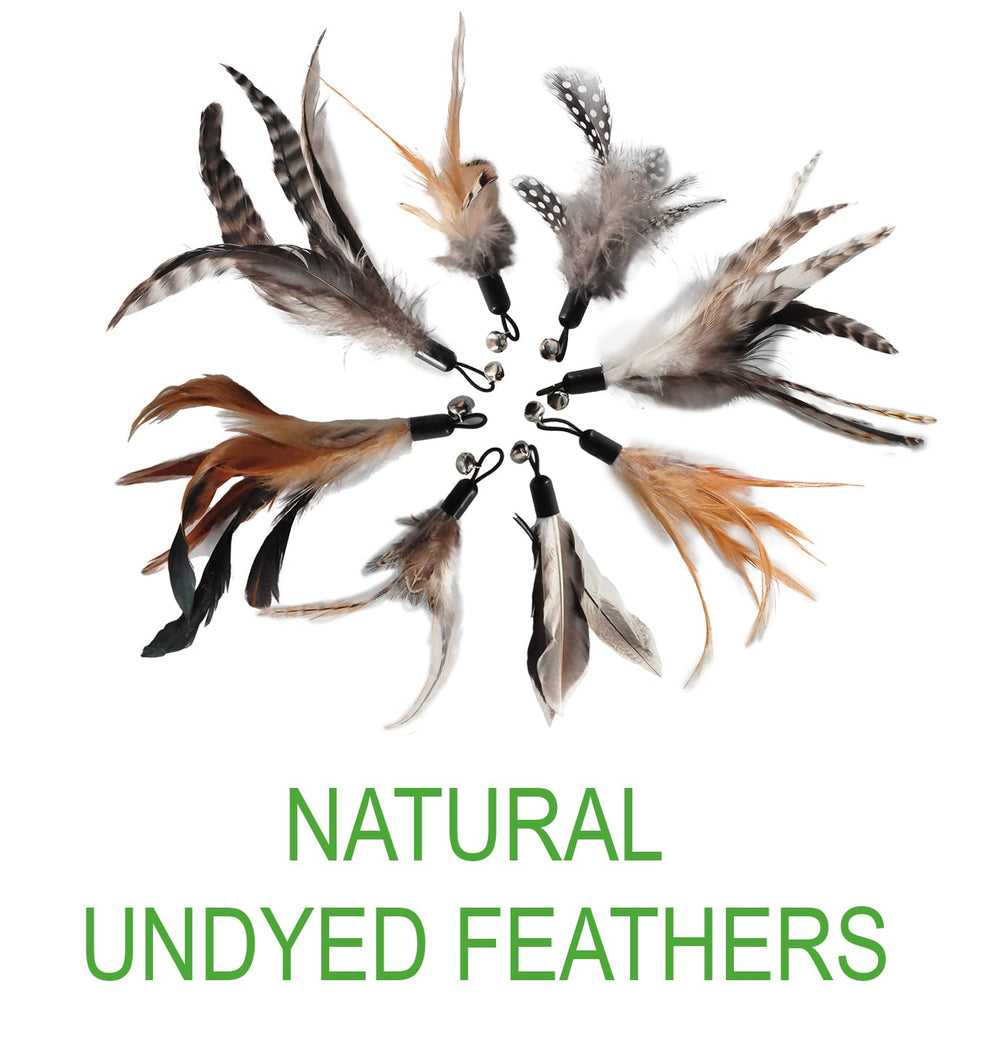 EcoCity Plumas Naturales Esterilizadas: seguridad durante las sesiones de juego