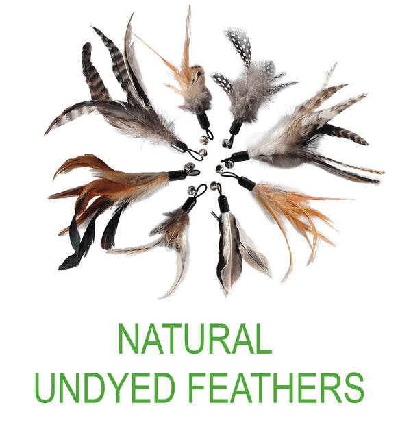 EcoCity Plumas Naturales Esterilizadas: seguridad durante las sesiones de juego