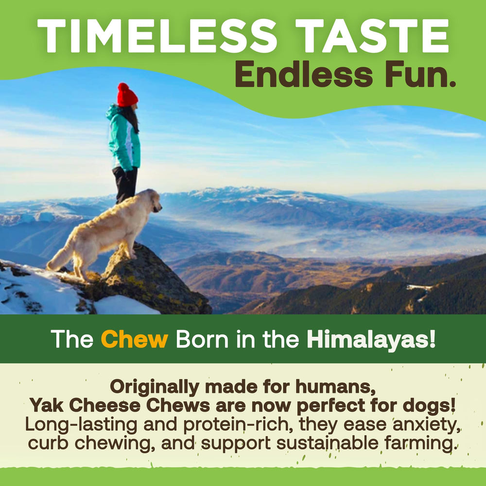 EcoKind Premium Gold Yak Chews duraderos: piezas para perros activos