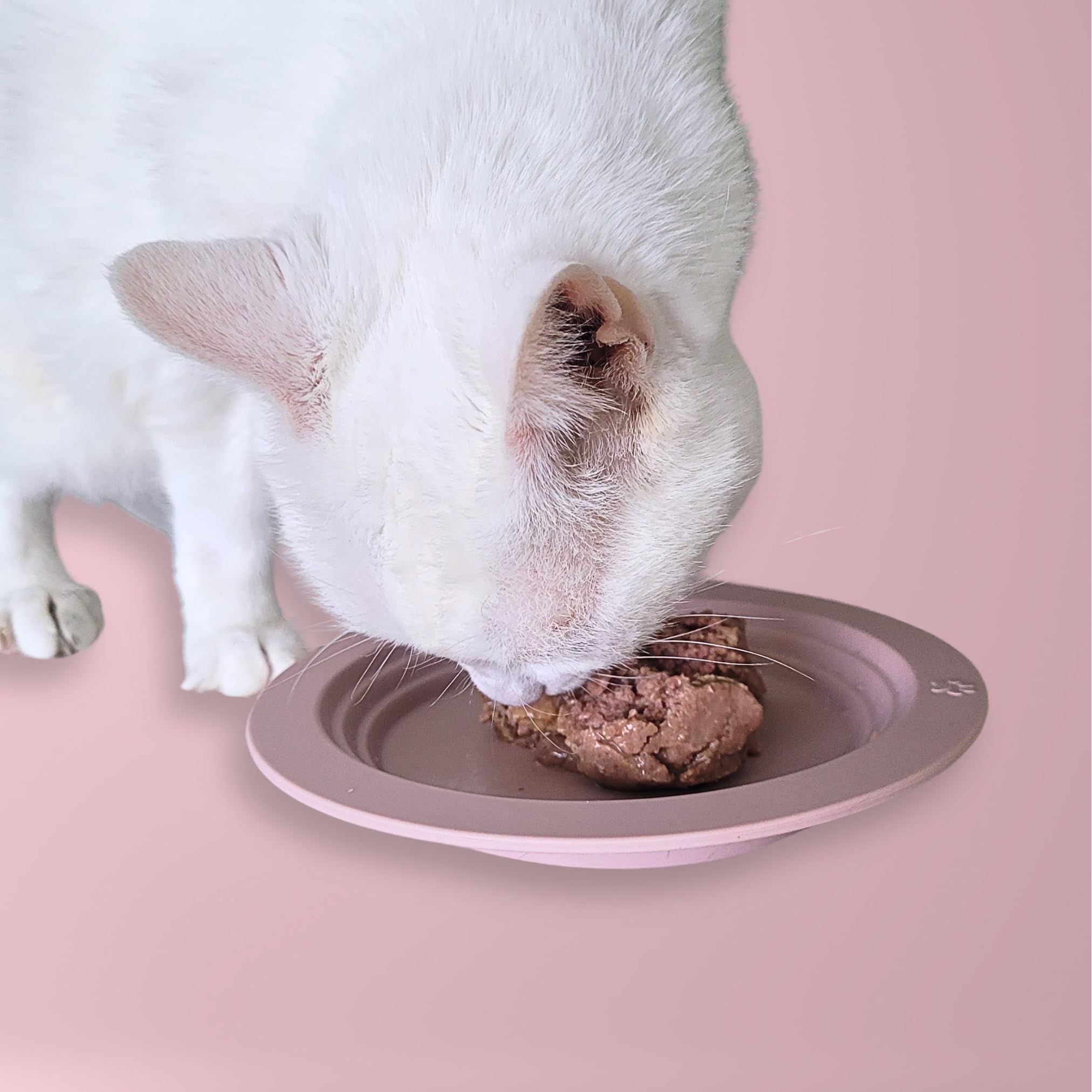 EcoLeo plato gatos silicona platina, diseño anti-bigotes para comodidad