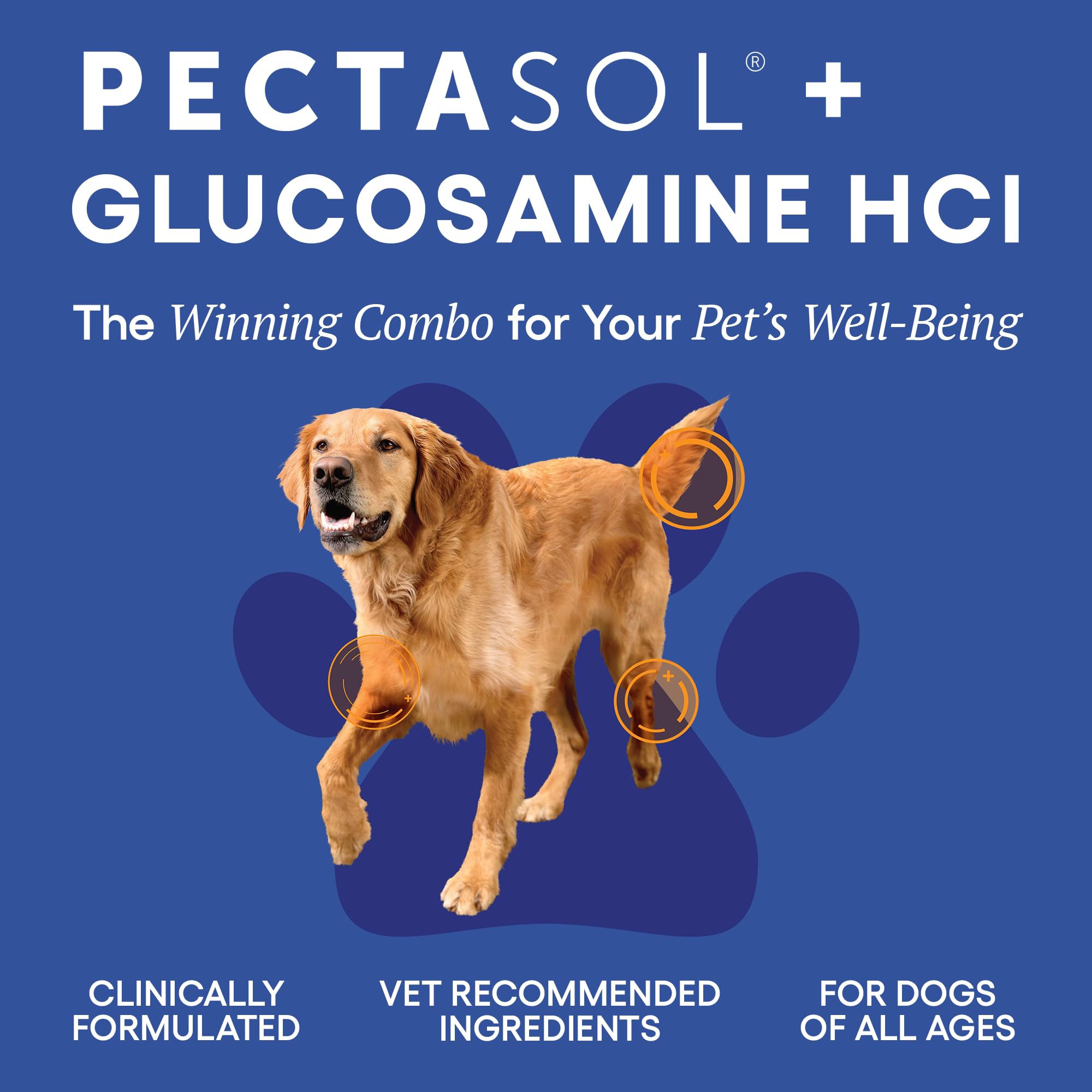 EcoNugenics PectaPaws inmunidad canina para uso diario