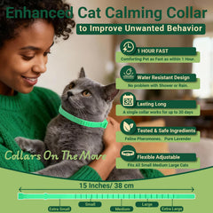 Gato relajado con collar EcoPawsome en casa.