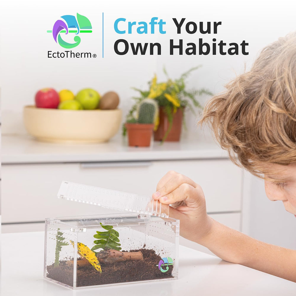 EctoTherm diseño compacto: espacio seguro para especies pequeñas sin esfuerzo