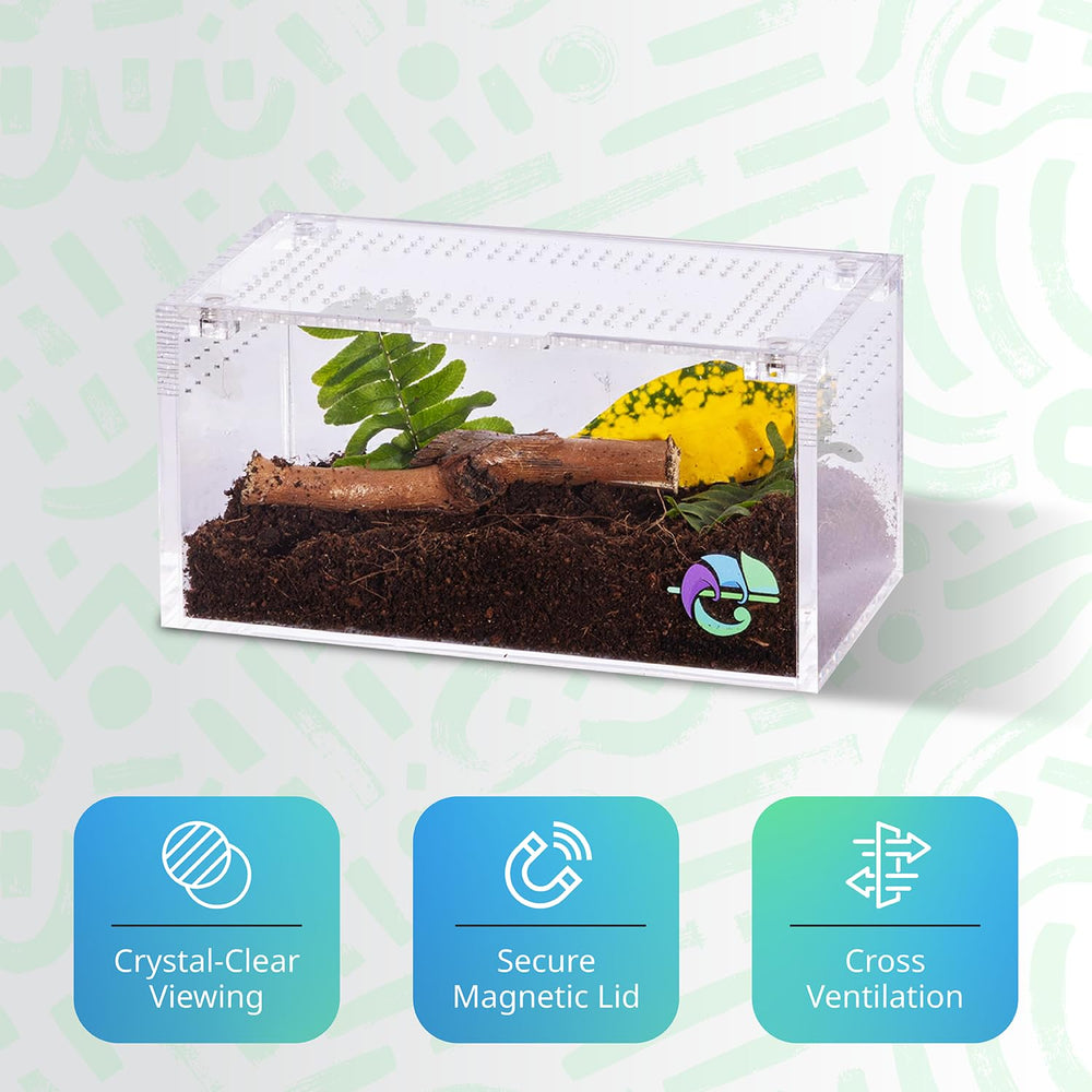 EctoTherm interior suave: superficies lisas facilitan la limpieza y salud de la especie