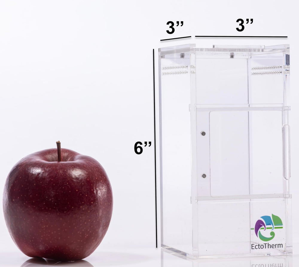 Jaula EctoTherm para arácnidos con puertas deslizantes frontal y superior para manejo.
