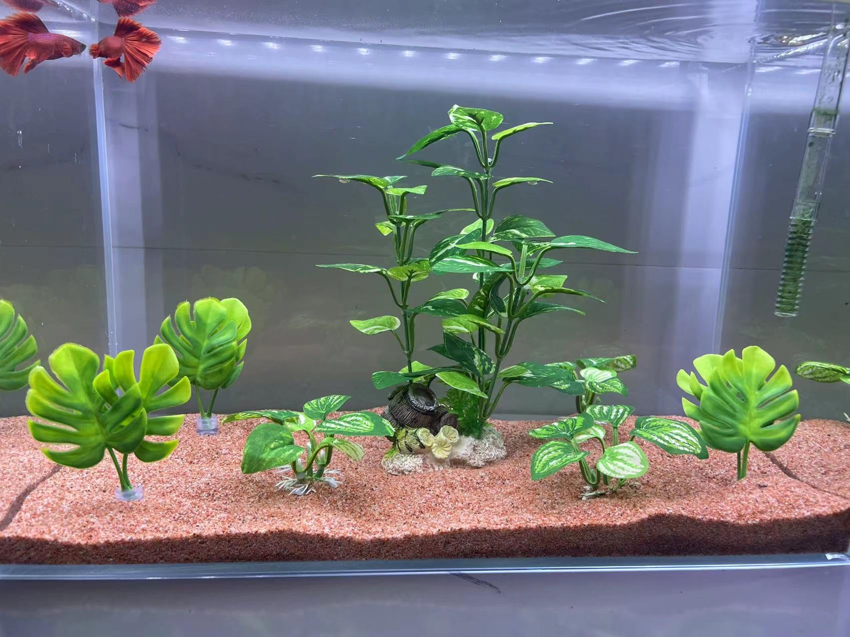 EDGCTYU plantas de seda para acuario, ofrecen variación de altura para composiciones visuales