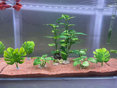 EDGCTYU plantas de seda para acuario, ofrecen variación de altura para composiciones visuales