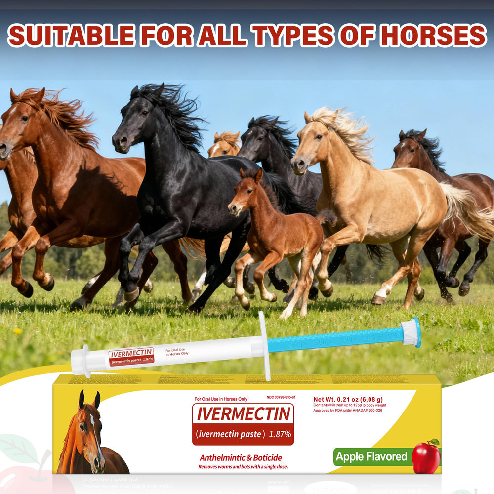edoia paste equino caballo en corral lista para administrar