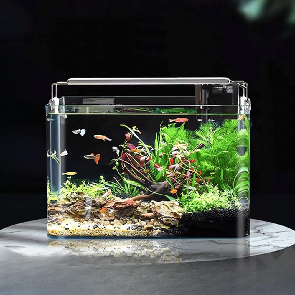 Acuario EDOTFISH con vidrio curvado en caliente para visión inmersiva.