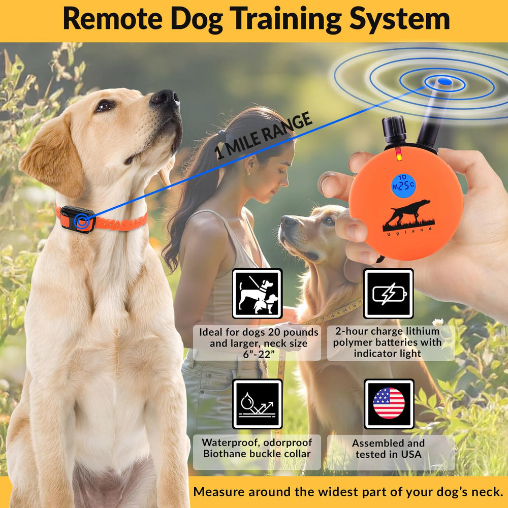 Educator Biothane collar durable, comfortable wear for daily training.