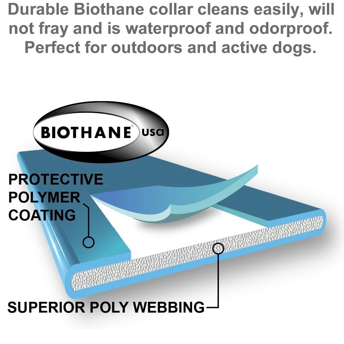 Correa Educator de 30 pulgadas Biothane, ajuste cómodo para perros.