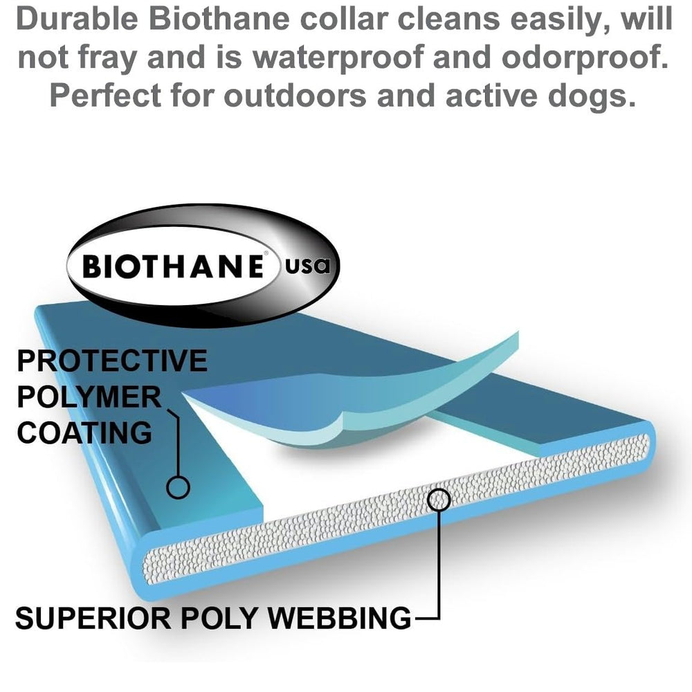Correa Educator de 30 pulgadas Biothane, ajuste cómodo para perros.