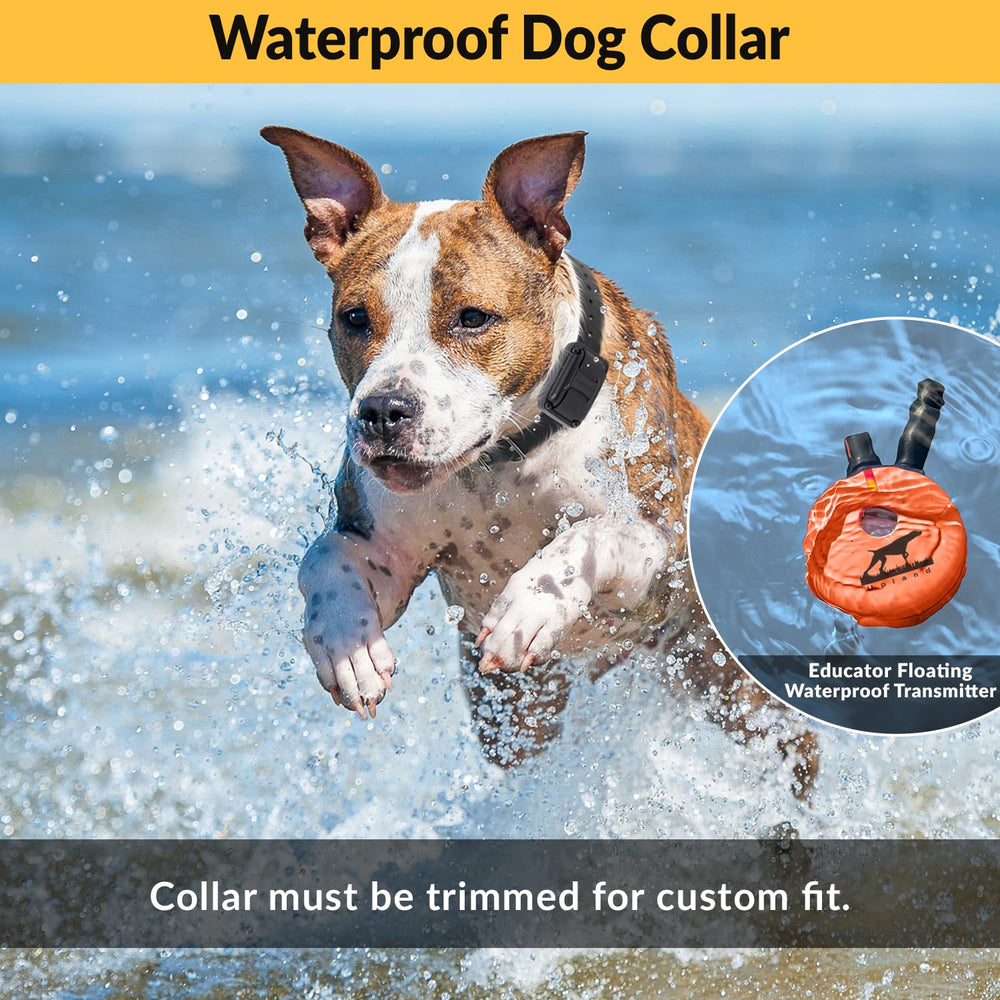 Educator E-Collar waterproof system ready for rain and outdoor adventures.