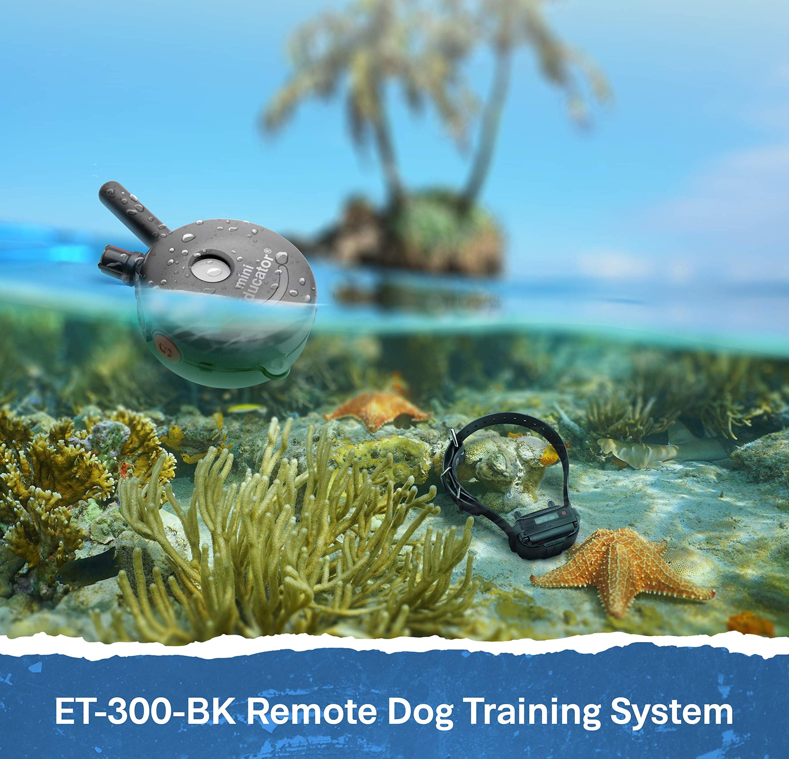 Educator ET-300 ideal para perros de tamaños pequeño, mediano y grande