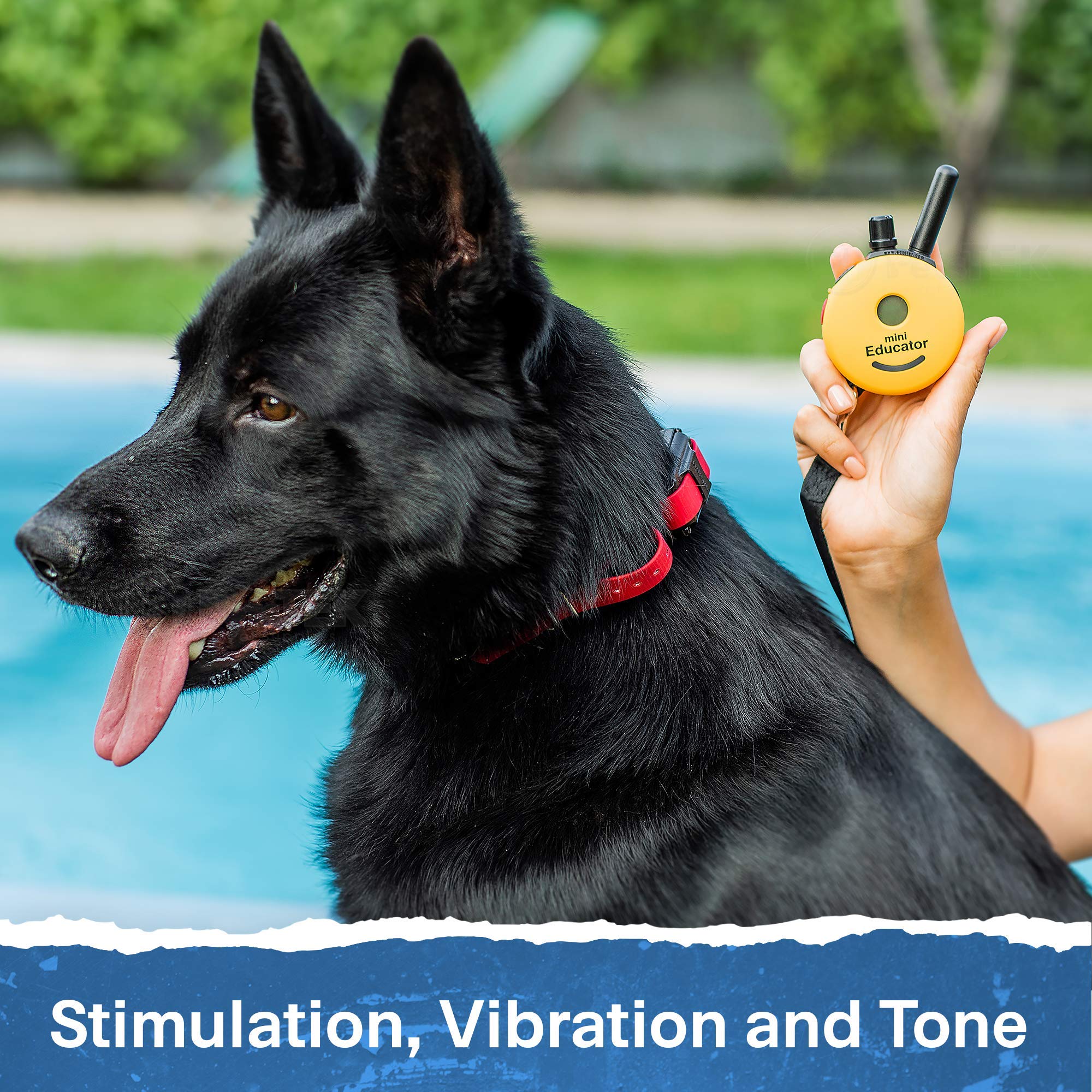 Educator ET-300 con 100 niveles de estimulación para adaptar la corrección