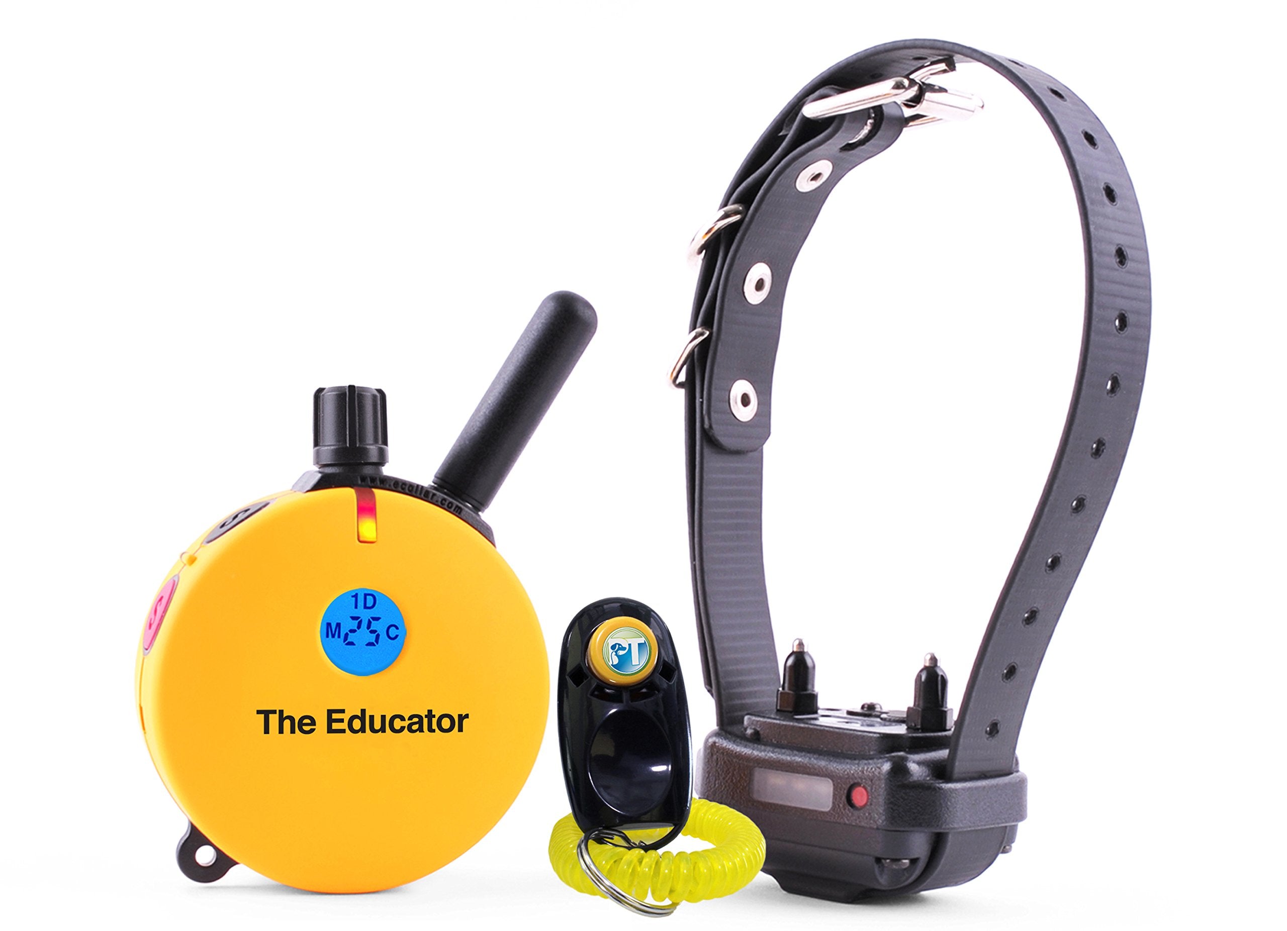 Receptor collar Educator ET-400 con correa bungee para ajuste cómodo.