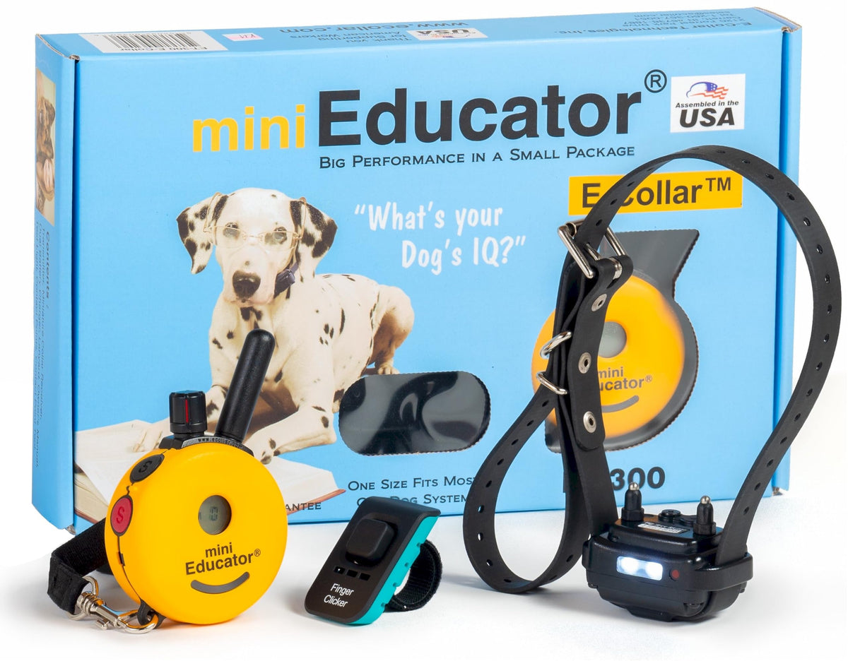 Educator Mini E-Collar transmisor compacto con rango de media milla para entrenamiento discreto.