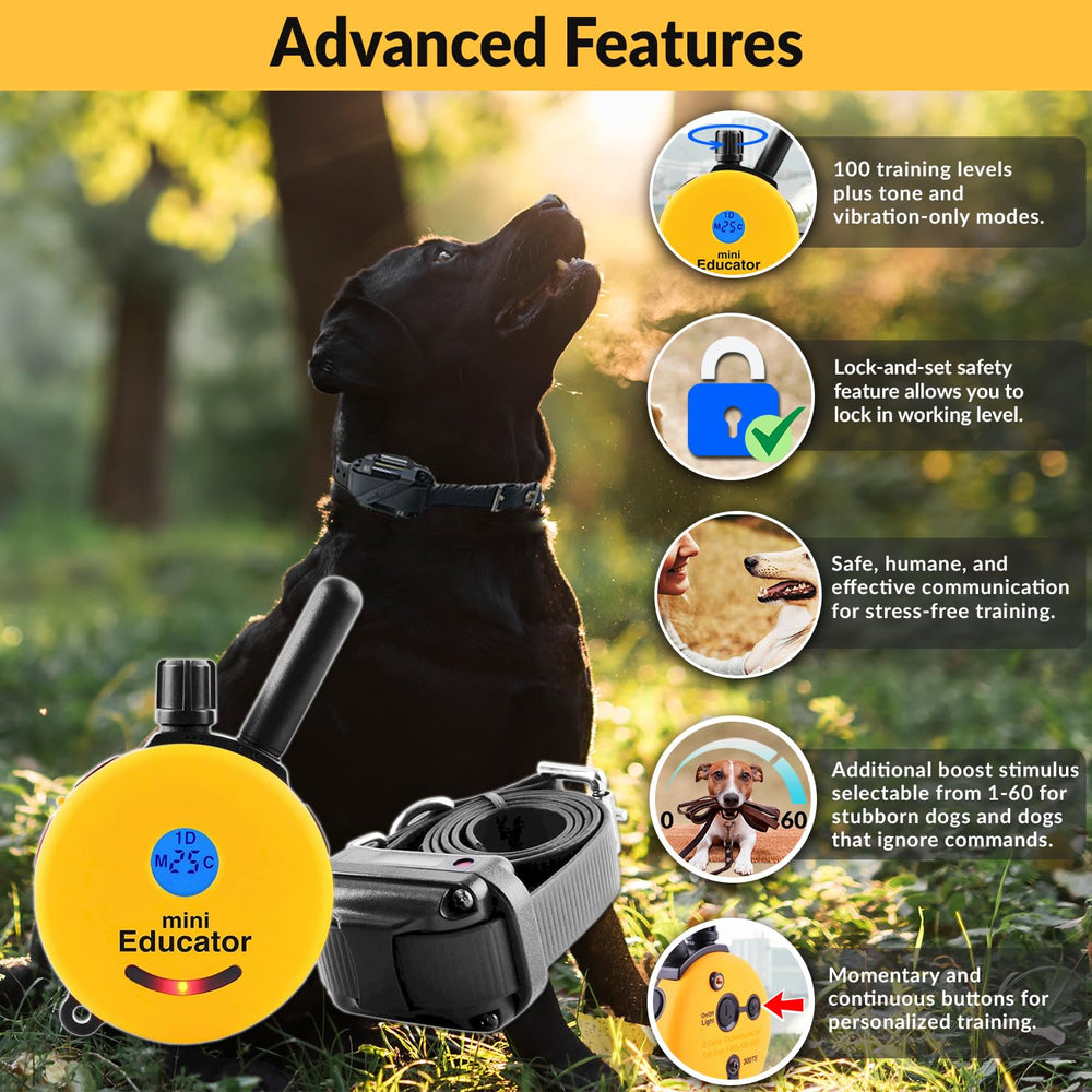 Educator Mini ET-302 receptor compacto para perros pequeños, ideal para entrenamientos discretos