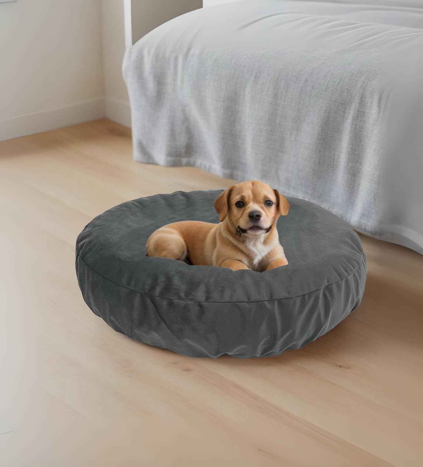 EechicSpace no apta para masticadores, uso seguro para mascotas.